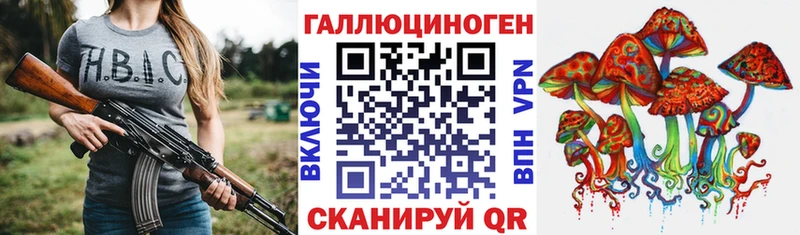 как найти закладки Новоаннинский Галлюциногенные грибы мицелий